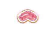 231