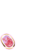 256