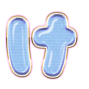 009