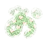 005