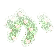 006