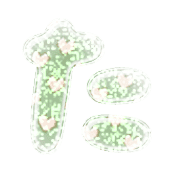 016