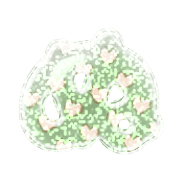 023