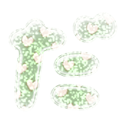 066