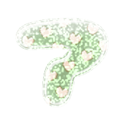 081