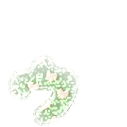 129