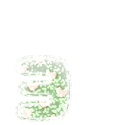 135