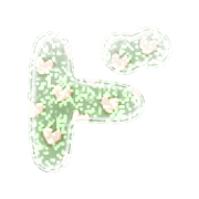 150