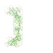 241