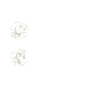 244