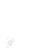 245