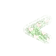 248