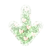 261