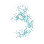 003