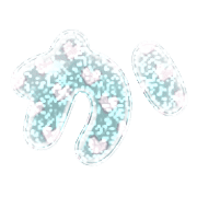 006