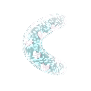 008