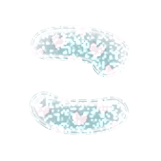 010