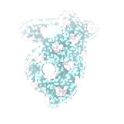 013