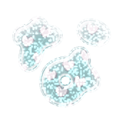 021