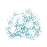 023