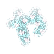 036