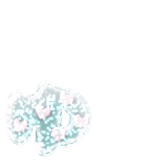 054