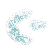 058