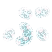 073