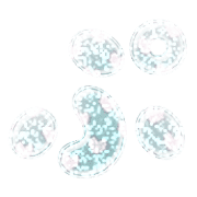 078
