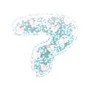 081
