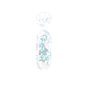 196