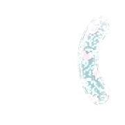 234