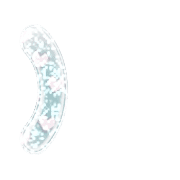 235