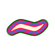 224
