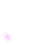 256