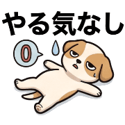 026