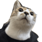 040