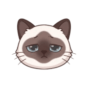 021