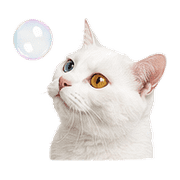 003