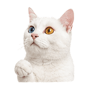 007