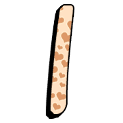 081
