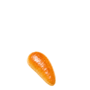 256