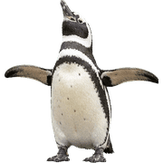 013