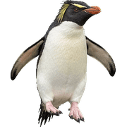 015