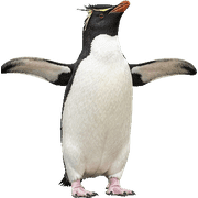 016