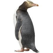 023