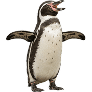 029