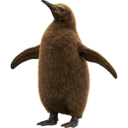 031