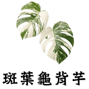 008