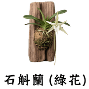 029